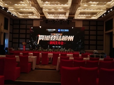 东巴象家装集团柳州新闻发布会成功举办，引领家居定制新篇章